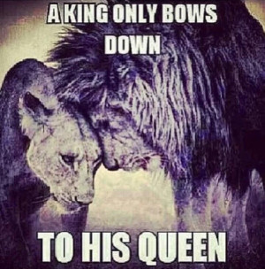 King only bows down to his Queen: Big Cat, Lion, King Queen, Real ...