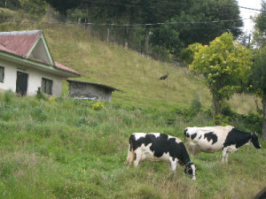 ... saying. He can't speak above a whisker. ~ Herman J. Mankiewicz #quote