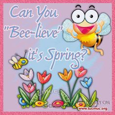 happy first day of spring photo quotes for facebook | share on ...