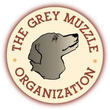 The Grey Muzzle Organization improves the lives of at-risk senior dogs ...