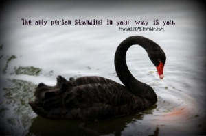 Photographed by #Michelle #Wong #black #swan #quote #wordart #art