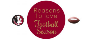 Reasons To Love Football Season