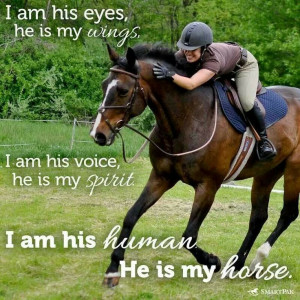 really am having horse fever I hope some day in he near future I ...