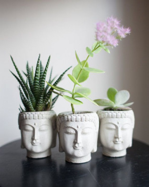 ... Buddha Pots, Unique Succulents Planters, Buddha Plants, Vases, Buddha