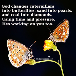 Caterpillars Change Into Butterflies