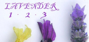 lavendercareandtipsthreesome.jpg