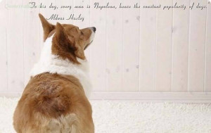 Dog Loss Quotes Sayings To his dog, every man is