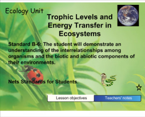 What Is the Trophic Level in an Ecosystem