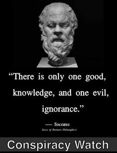 ... Wise Quotes, Funny Pictures, Philosophy Quotes, Quotes Pictures