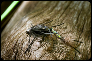 Question What Arethe Different Meanings Of Star Tattoo Designs Picture