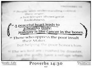 ... body; jealousy is like cancer in the bones.” Proverbs 14:30 #bible