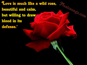 special quotes valentine day special with red rose text 2011 quotes ...