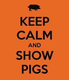 ... and show pigs more my friend country girls friends pin pigs 3 keep