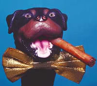 Thursday Funny Video Triumph The Insult Comic Dog Goes Spa