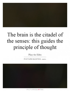 The brain is the citadel of the senses: this guides the principle of ...