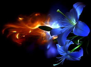 child's appetite for new toys appeal to the desire for ownership and ...