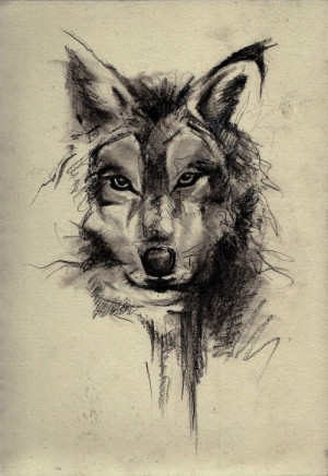 ... wolf tattoo drawings tumblr drawing tattoo sketch tattoo wolf tattoo