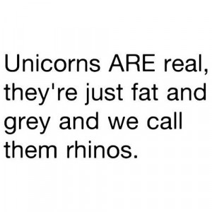 Unicorns are real (clipped to polyvore.com )