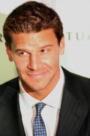 David Boreanaz