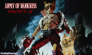 Funny Army of Darkness: The Directors Cat