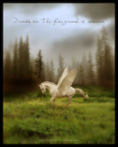 Dreams are the playground of unicorns Rames Studios: Unicorn Quotes ...
