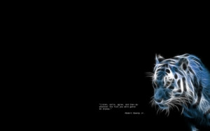 tigers quotes black background 1920x1200 wallpaper Mammals tigers HD ...