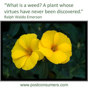 Gardening Quote: Ralph Waldo Emerson