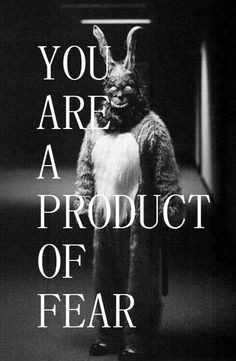 Donnie Darko, Fear and Love Minimalist Poster, Movie Poster, Art Print