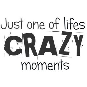 Just one of lifes crazy moments - Wordart by Alicia - DigiScrapDepot ...