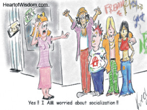 Homeschool Socialization Funny!