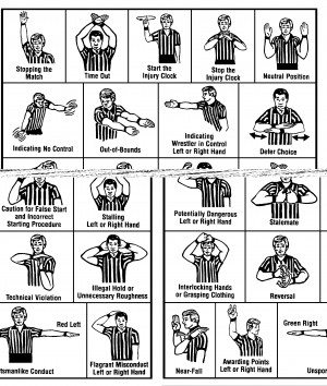 quotes-pictures.feedio...referee hand signals of