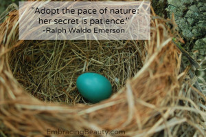 Adopt the pace of nature: her secret is patience.” – Ralph Waldo ...