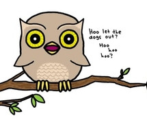 Related Pictures funny owl quotes