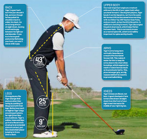 GOLF STANCE DISTANCE FROM BALL image gallery