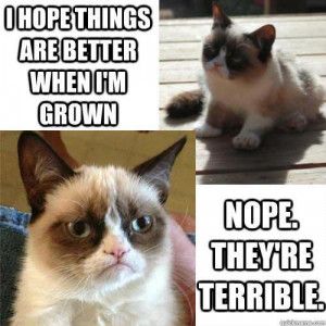 Maybe Things Will Get Better When I Grow Up Funny Cats Pic