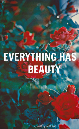 everything has beauty