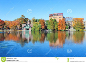 Funny Quotes Contact Dmca...