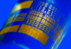 Healthy and Wealthy Living