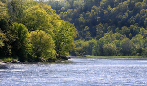 lower work comp rates with no annual audits receive the pennsylvania ...