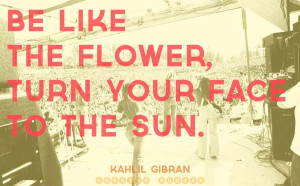 25+ Best Quotes About Summer