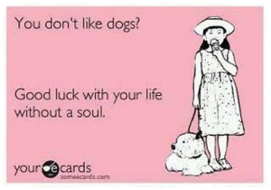 Someecards – Sassy, Classy, and a Little Smart-assy (22 Pics)