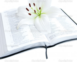 Easter Lily And Bible Stock...