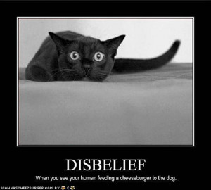 ... Cat Motivational Posters: Inspirational quotes from the world of Cats