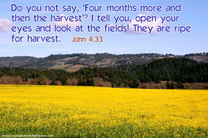 What's growing in the Garden?