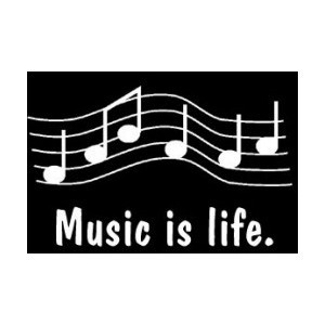 ... musicquotes http://www.pinterest.com/TheHitman14/music-quotes-%2B