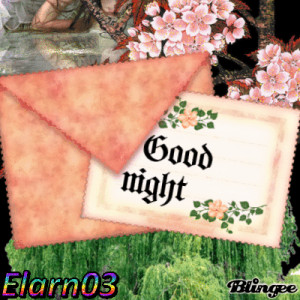 Good Night - Letter In Mail Postcard - Elarn03
