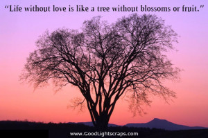 ... Love-Is-Like-A-Tree-Without-Blossoms-Or-Fruit.-Love-quote-pictures.jpg