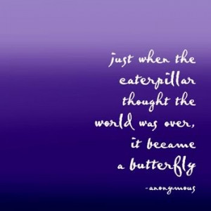 butterfly quote photo butterfly-2.jpg