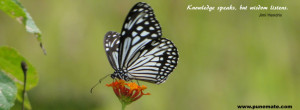 Gray butterfly facebook cover photo with quote on life and love