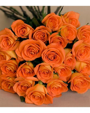 Four Dozen Orange Roses